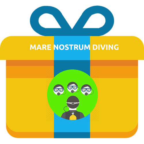 Gift - Adventure Diver